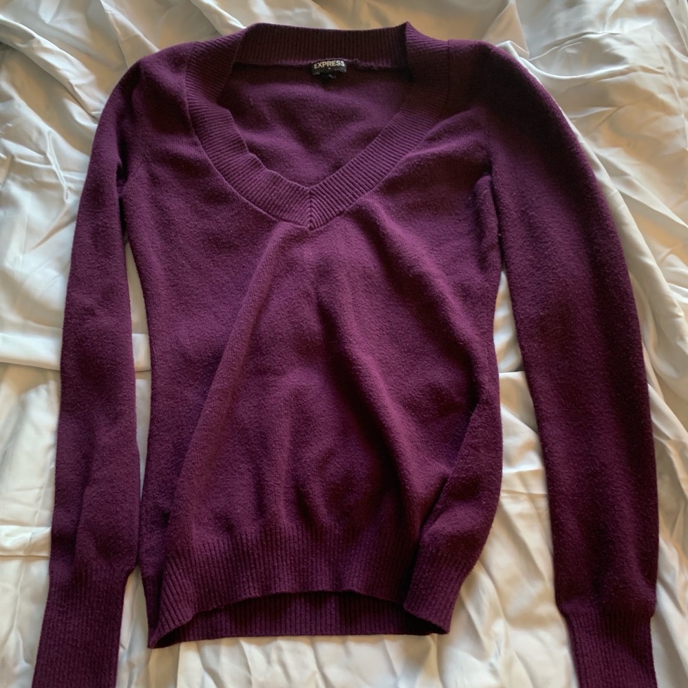 Express V neck sweater